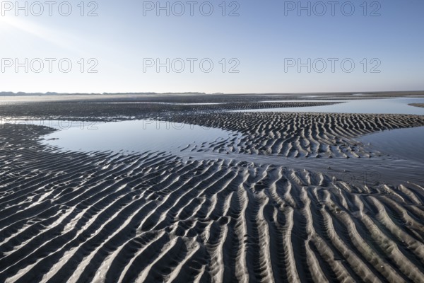 Wadden Sea, Amrum, Schleswig-Holstein, Germany, Europe