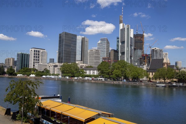 View of the skyline of Frankfurt am Main