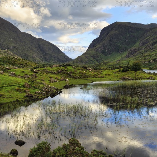 Lakeshore at dusk, Gap of Dunloe mountain pass, Killarney, Ring of Kerry scenic road, Iveragh Peninsula, County Kerry, Ireland, Europe