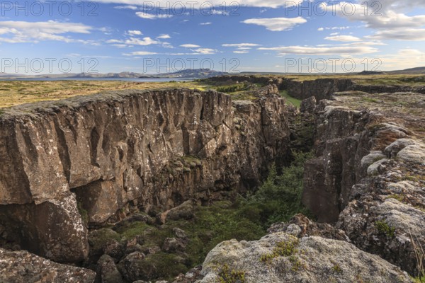 Lava fields, tectonic plates, continental plates, crevasses and canyons, summer, sunny, Thingvellir National Park, Golden Circle, Southwest Iceland, Iceland, Europe