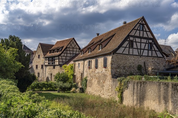 Half-timbered houses on the town wall in Bergheim, Alsace, France, Europe