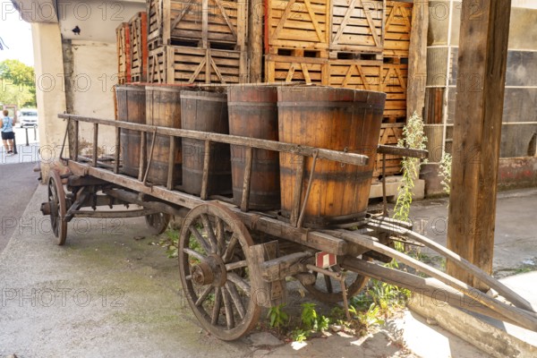 Wine barrels on a historic wooden cart, Ribeauville, Alsace, France, Europe
