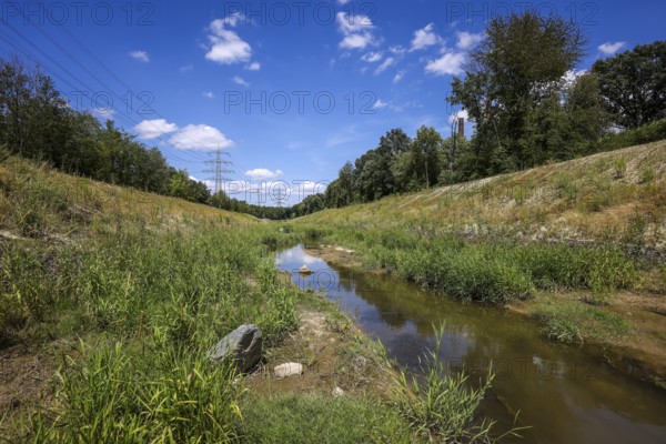 Bottrop, North Rhine-Westphalia, Germany, Renaturalised Boye, the tributary of the Emscher, was transformed into a near-natural watercourse, flood protection through newly designed flooding areas, the Boye is now free of wastewater after the construction of a parallel sewer, is part of the Emscher river system and thus part of the Emscher conversion, was previously an open, above-ground wastewater channel, mixed water channel with surface water and wastewater. Right Industrial area with chimneys on Essen territory, Europe