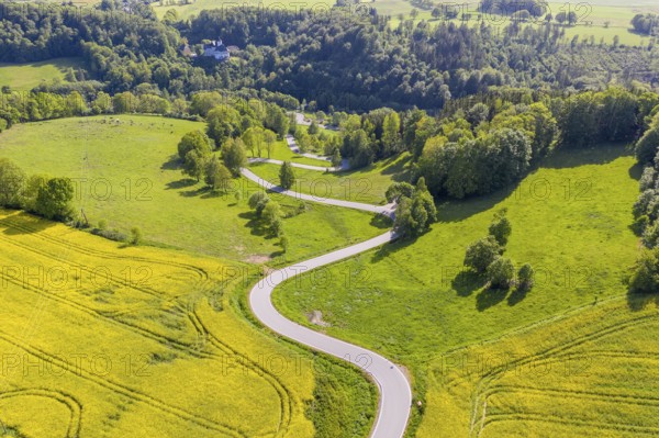 Aerial view of the winding serpentine road between blossoming rapeseed fields from Reifland to Rauenstein, Rauenstein Castle in the background, Pockau-Lengefeld, Erzgebirge, Saxony, Germany, Europe