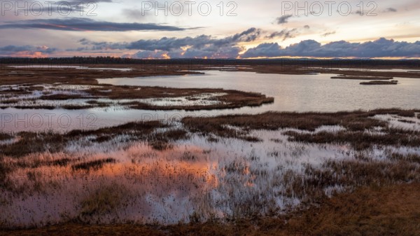 Sunset, drone shot, aerial view, lakes, moor landscape, Lapland, Finland, Europe