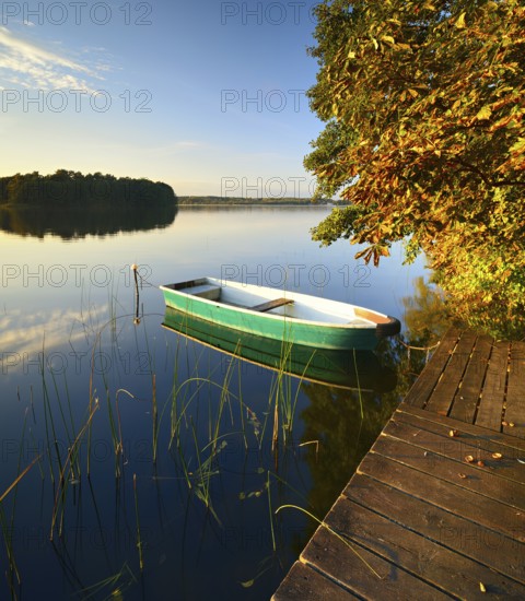 Quiet lake with jetty and rowing boat in the evening in autumn, horse chestnut with autumn leaves on the shore, reeds in the water, Großer Lychensee, Lychen, Uckermark, Brandenburg, Germany, Europe