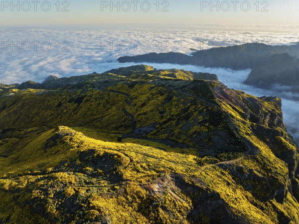 Aerial view at Pico do Arieiro of mountains over clouds with blooming Cytisus shrubs on sunset with sunburst. Madeira island, Portugal, Europe