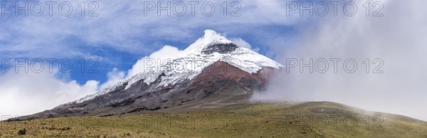 Cotopaxi seen from the high plain, Cotopaxi, Cotopaxi National Park, Latacunga, Ecuador, South America