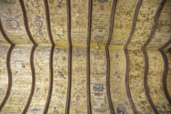 Ceiling fresco on a wooden ceiling in the Toulouse-Lautrec Museum in the Palais de la Berbie, Albi, Département Tarn, France, Europe