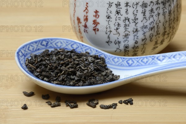 Green tea 'Gunpowder' from China, Gunpowder tea, China, Asia