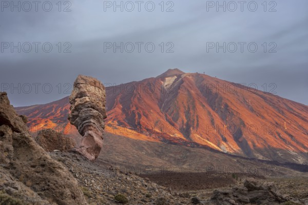 Panorama at sunrise on the Roque Chinchado, also known as the Stone Tree or Finger of God, landmark of the island, Los Roques de Garcia, behind it the Pico del Teide, 3717m, Las Cañadas, Teide National Park, Tenerife, Canary Islands, Spain, Europe
