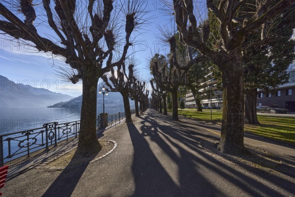 Lakeside promenade, lake, railings, trees, shadow, hill, mist, fog, backlight, blue sky, Lake Lugano, Riva Antonio Caccia road, Lugano, Lugano district, Canton Ticino, Switzerland, Europe