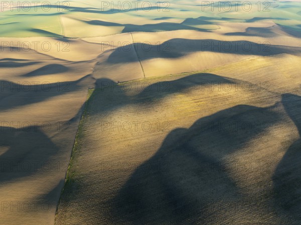 Farmland in the Campiña Cordobesa, the fertile rural area south of the town of Córdoba. Aerial view. Drone shot. Córdoba province, Andalusia, Spain, Europe