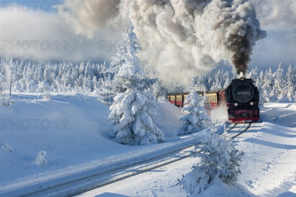 Snow-covered winter landscape with snow-covered spruce forest, the Brocken railway travelling to the summit of the Brocken, Harz National Park, Saxony-Anhalt, Germany, Europe