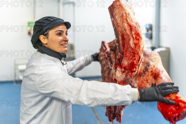 Female butcher carrying the hanging cut pieces of cattle in a meat factory