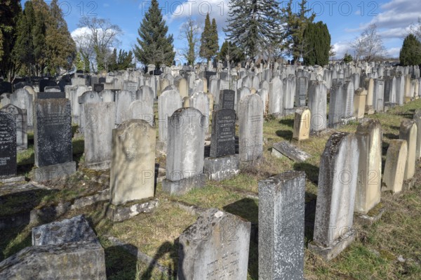Old graves at the Israeli cemetery, inaugurated in 1882, Werner-von Siemens Str. 2, Würzburg, Lower Franconia, Bavaria, Germany, Europe