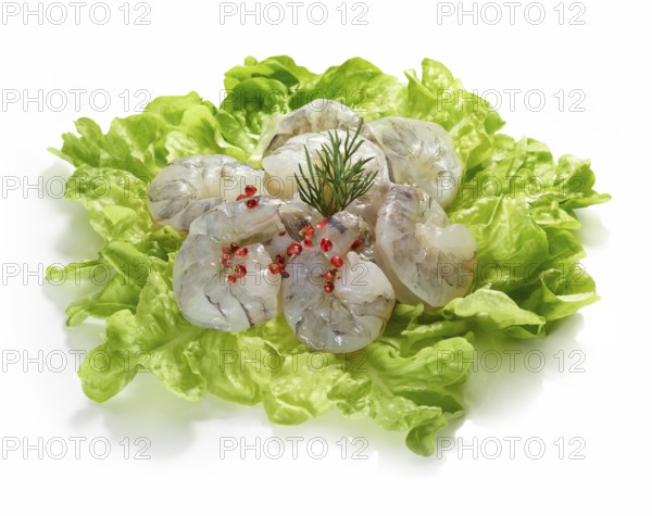 Raw prawns, decorated on lettuce leaves, studio shot