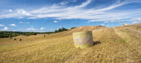 Typical hilly landscape with copses, stubble field with round straw bales, summer landscape under a blue sky with cumulus and veil clouds, terminal moraine landscape, Schorfheide-Chorin Biosphere Reserve, Uckermark, Brandenburg, Germany, Europe