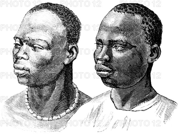 Portrait of an Ashanti and Kanuro man, Ashanti live in West Africa, mainly in Ghana, the Kanuri people live mainly in the Sahel zone, travelling, historical illustration 1886