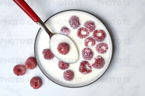 Raspberries with milk in skin, Rubus idaeus