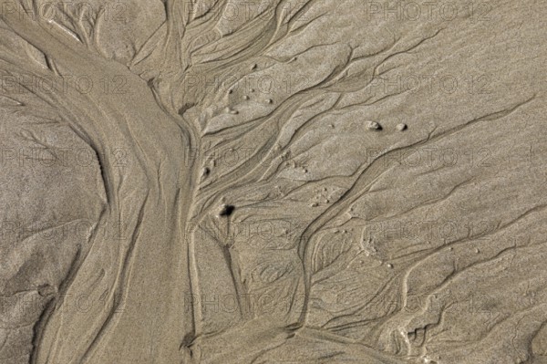 Seawater run-off leaves traces in the sand on Fazayat beach in Al Hauta, Dhofar province, Arabian Peninsula, Sultanate of Oman