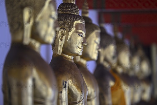 Gilded Buddha statues in Wat Pho, Temple of the Reclining Buddha, Bangkok, Thailand, Asia