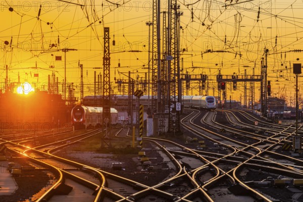 Track apron with trains, rails, points, pylons and signalling systems. Infrastructure at the main station. Sunset. Frankfurt am Main, Hesse, Germany, Europe