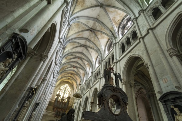 Saint-Antoine l'Abbaye labeled Les Plus Beaux Villages de France. Interior of the Abbey Church built from the 12th to the 15th century. Isere. Auvergne-Rhone-Alpes. France