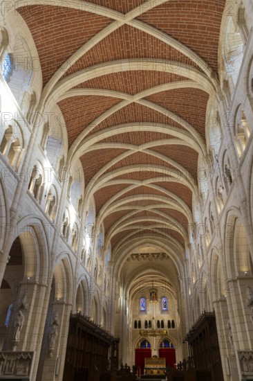 Vaulted roof ceiling interior of Buckfast abbey church, Buckfast Abbey, Devon. England, UK