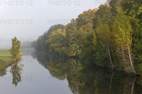 River landscape in fog, autumn mood, reflection, North Rhine-Westphalia, Germany, Europe