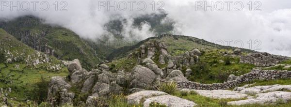 Peruvian highland vegetation, Crossing the Andes from Cuscu towards Nazca, Route 30A, Peru, South America