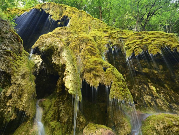 The Schleier Falls on the Ammer, moss-covered waterfall, Ammergau Alps, Bavaria, Germany, Europe