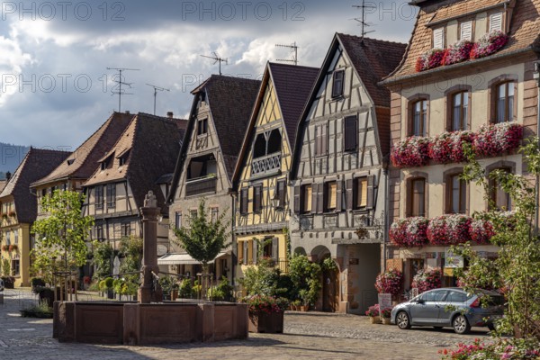 Half-timbered houses on the Place du docteur Pierre Walter in Bergheim, Alsace, France, Europe