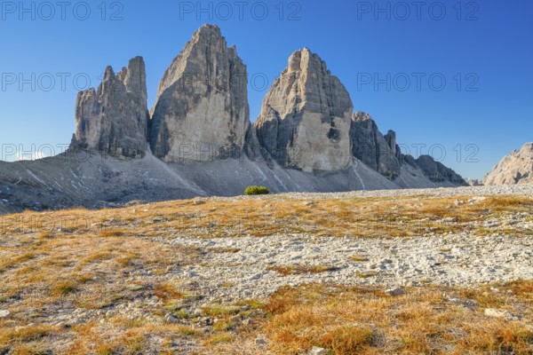 Three Peaks in autumn, blue sky, Sesto Dolomites, South Tyrol, Italy, Europe