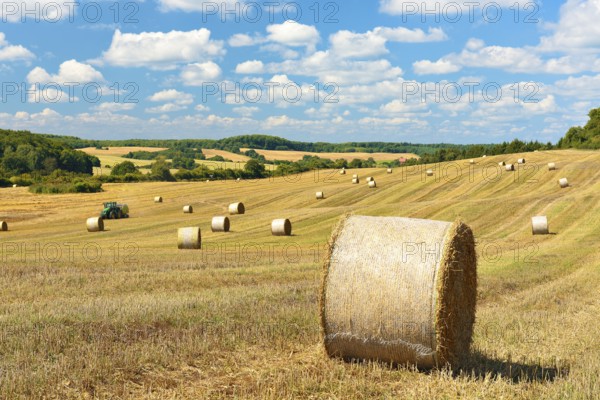 Harvesting straw bales under a blue sky with cumulus clouds, hilly landscape near Angermünde in summer, Uckermark, Brandenburg, Germany, Europe