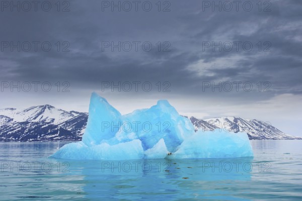 Iceberg, ice floe from calving Monacobreen glacier floating in the Liefdefjorden, fjord in Haakon VII Land, Spitsbergen, Svalbard
