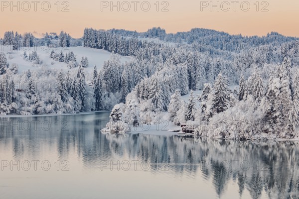 Dawn and sunrise at the wintry Forggensee in a snow-covered winter landscape in the foothills of the Alps in the Allgäu in Bavaria, Germany, Europe