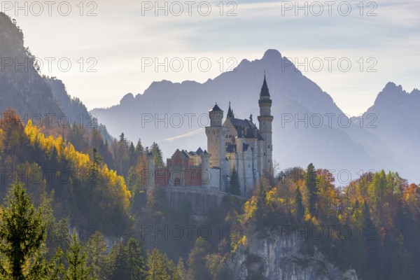 Fairytale Neuschwanstein Castle surrounded by autumnal trees against a mountain backdrop, Neuschwanstein, Schwangau, Ostallgäu, Allgäu, Swabia, Upper Bavaria, Bavaria, Germany, Europe