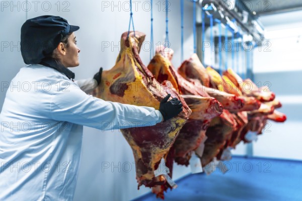 Woman in uniform, hat and gloves placing meat in line in a cold storage room in meat factory