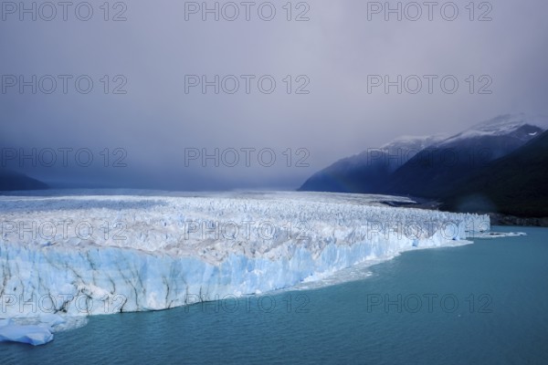 El Calafate, Patagonia, Argentina, Perito Moreno Glacier in Los Glaciares National Park. The Perito Moreno Glacier is part of the Patagonian ice field, the Campo Hielo Sur, the third largest freshwater reserve in the world. It is located in the province of Santa Cruz on Lago Argentino, the country's largest lake. The Perito Moreno Glacier is up to 30 kilometres long and 5 kilometres wide. Its edge is 70 metres high at its highest point. Small icebergs that have broken off from the glacier float in Lago Argentino. The glacier is one of the most beautiful sights in South America and is one of the most visited attractions in Argentina, South America