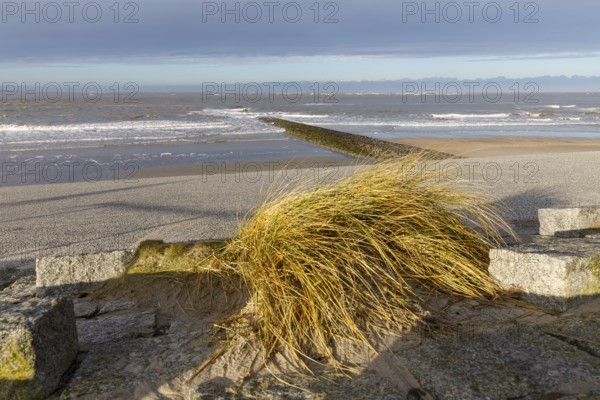 Paved beach promenade and groyne on the west beach of Norderney, Lower Saxony, Germany, Europe