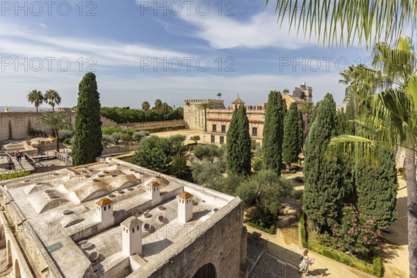 View of a green garden with historic buildings and palm trees, Jerez