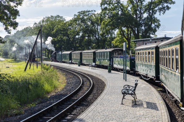 A long train with green carriages rounds a bend in the sunshine, Rügen, Rasender Roland