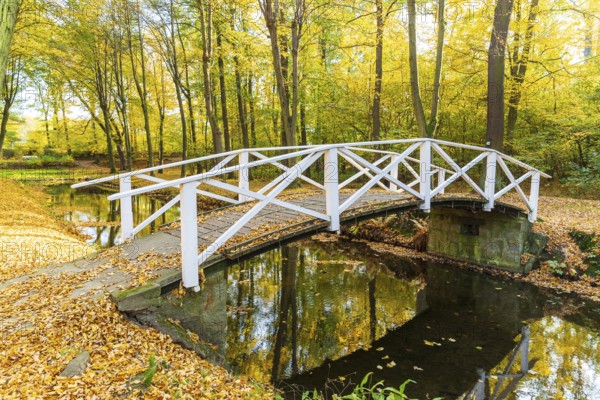 Bridge over the castle moat in autumn, park of Hermsdorf Castle, Ottendorf-Ockrilla, Saxony, Germany, Europe