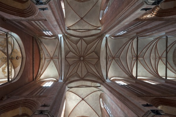 Ceiling vault of St Georgen, Gothic brick building of the 14th century, under reconstruction, Wismar, Mecklenburg-Vorpommern, Germany, Europe