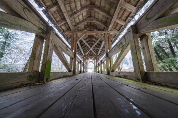 Snow-covered wooden bridge from the inside in symmetrical perspective, Kälberbrücke, Enzklösterle, district of Calw, Black Forest, Germany, Europe