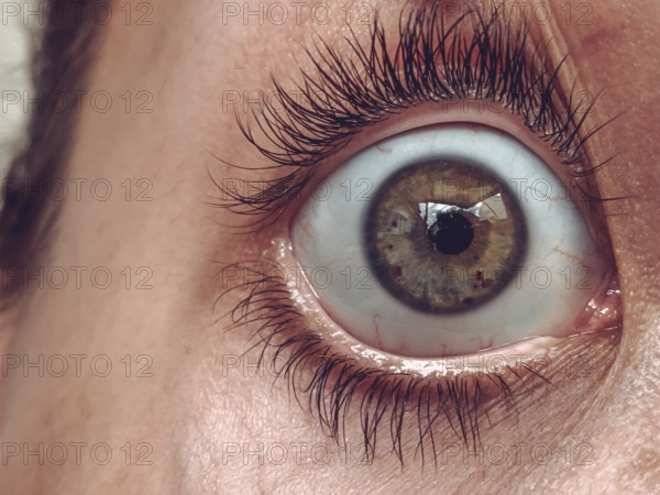 Detailed close-up of a wide-open eye with long eyelashes