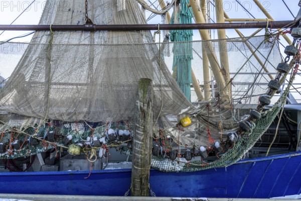 The fishing village of Greetsiel, historic fishing harbour, with the largest shrimp cutter fleet in East Frisia, fishing nets, fishing nets, winter, Lower Saxony, Germany, Europe