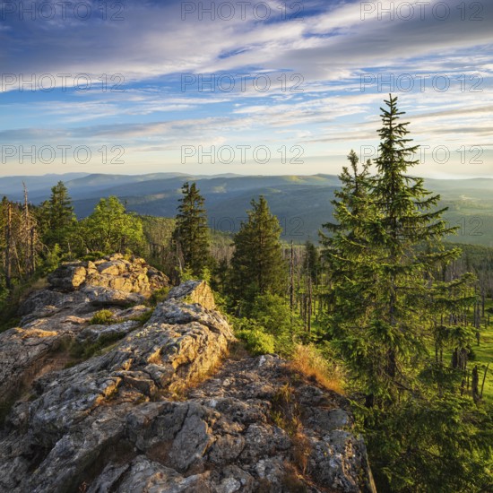View from the summit of the Großer Rachel, morning light, Bavarian Forest National Park, Bavaria, Germany, Europe