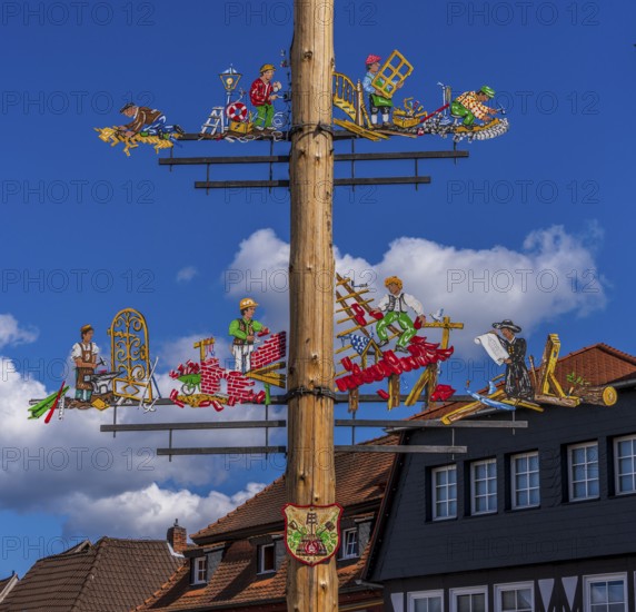 Maypole on the market square, close-up, Seligenstadt, Hesse, Germany, Europe